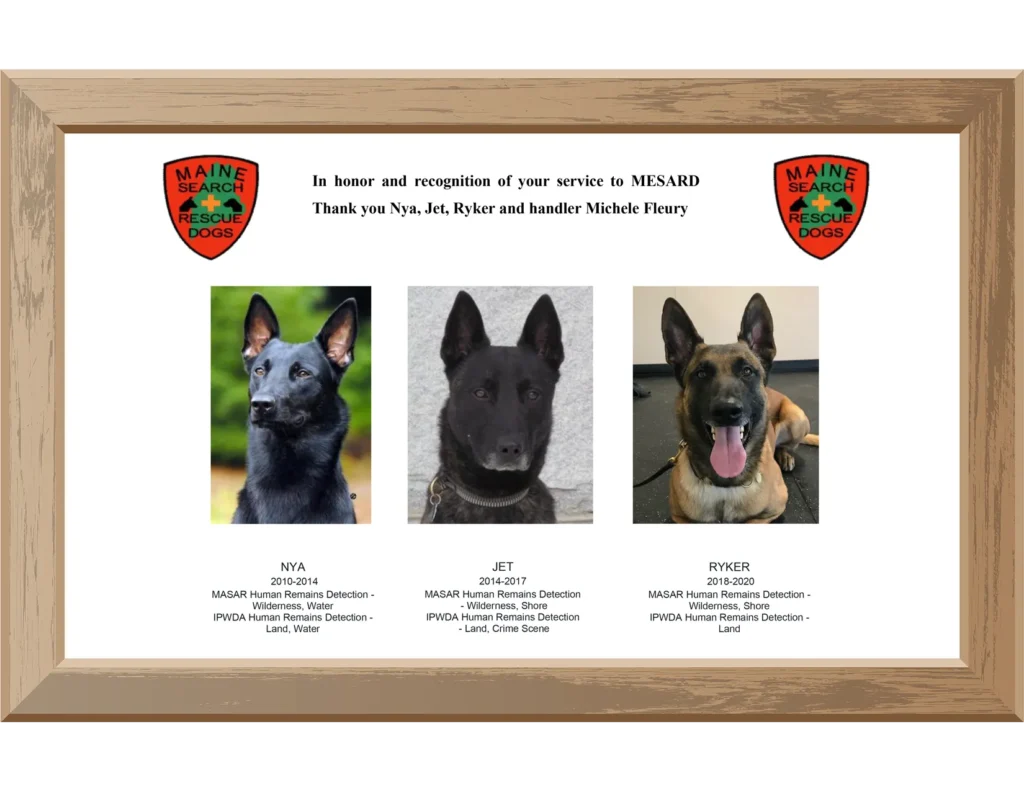 Nya, Jet, and Ryker: MESARD Dog Retirees of Michele Fleury